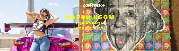 твердый Аркадак