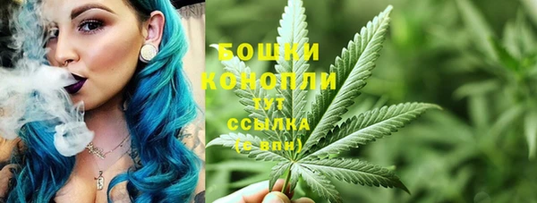 не бодяженный Арсеньев