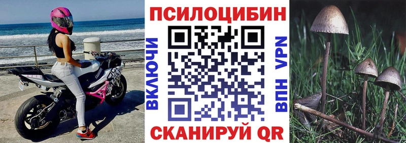 omg онион  Ставрополь  Галлюциногенные грибы прущие грибы 