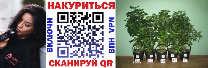 Бошки Шишки SATIVA & INDICA Ставрополь